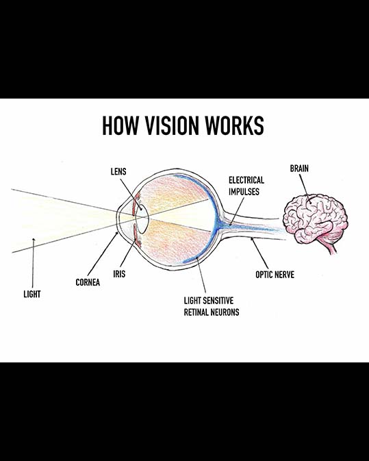 Text announcement of University Research Award