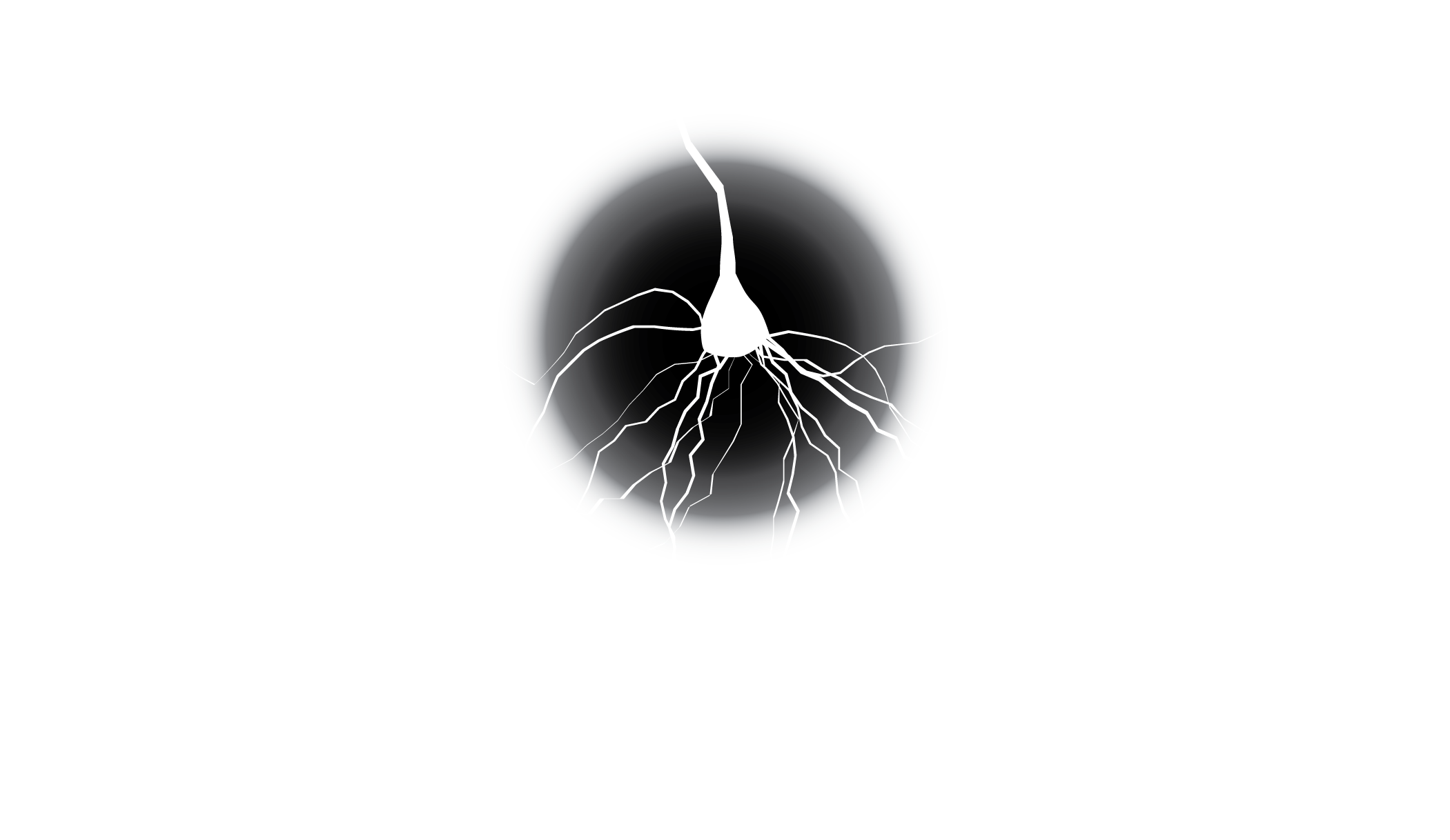 Center for Visual Science